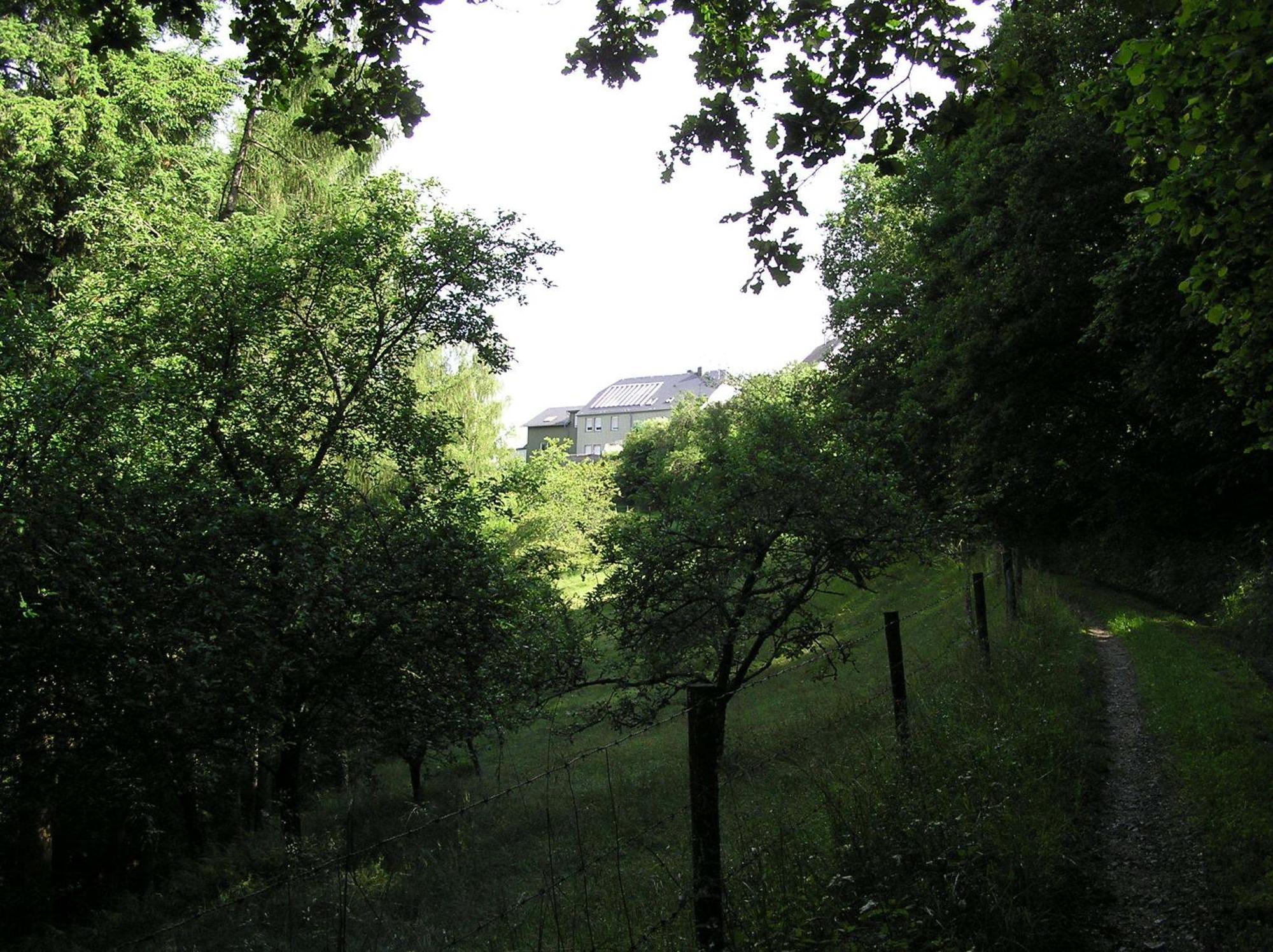 Ferienwohnung Nisius Geisfeld  Extérieur photo